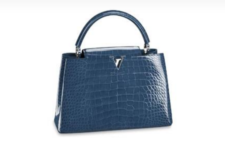 These luxury bags from Louis Vuitton, Hermes, Chanel and Gucci are classic and never go out of style