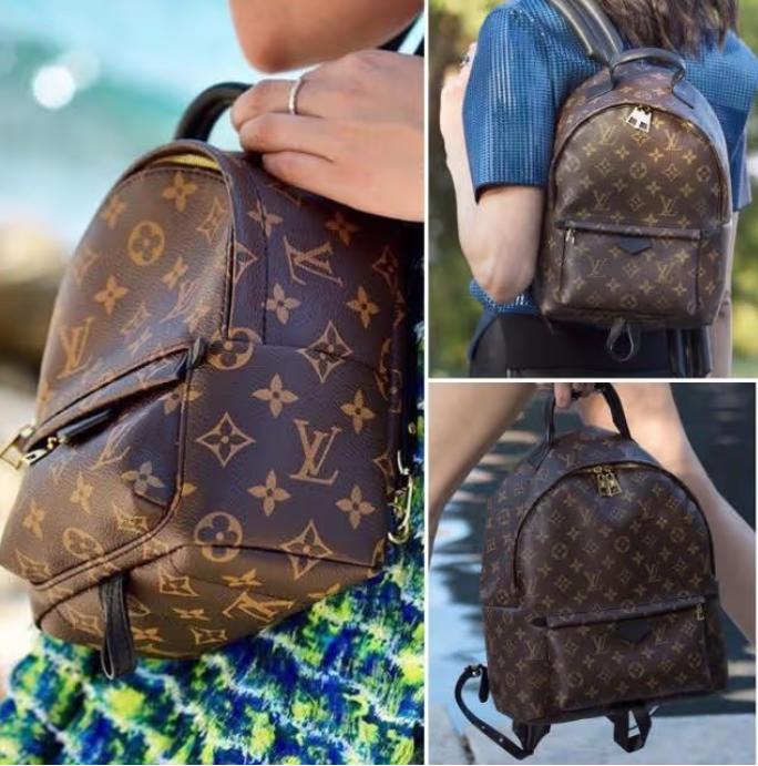 Louis Vuitton backpack is a trendy and cute mini that almost everyone loves
